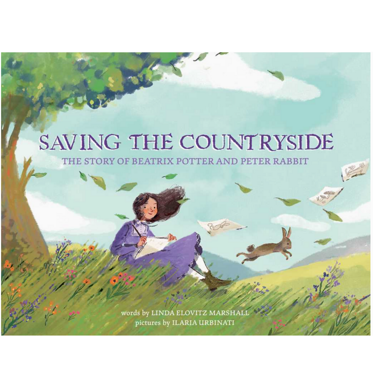Saving the Countryside (Hardcover)