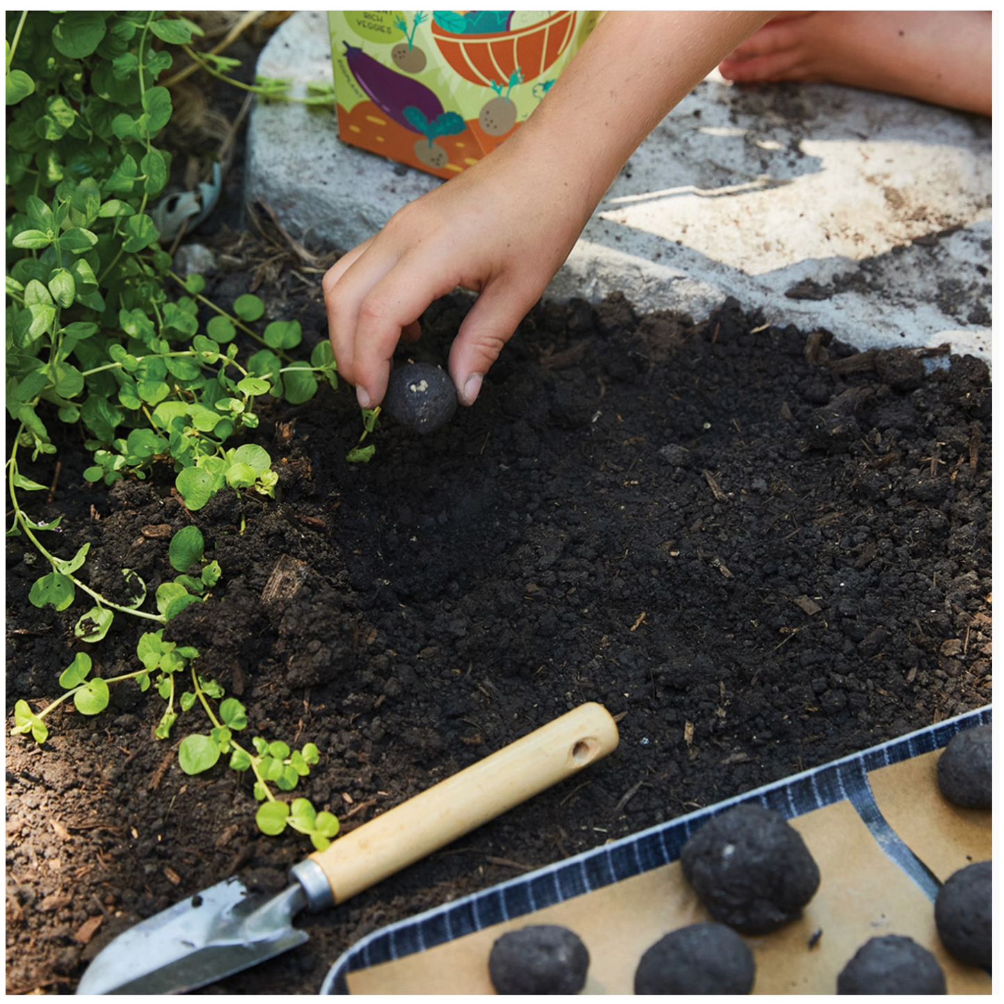 Diy Seed Ball Kit (Pizza Garden)