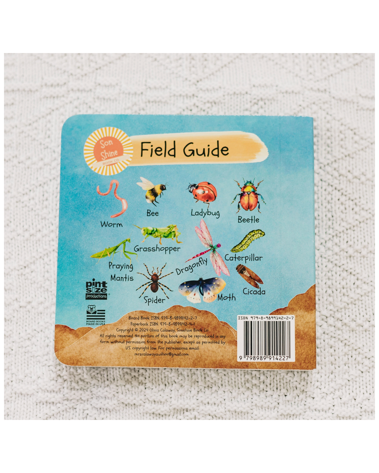 Why Did God Make Worms (Board Book)