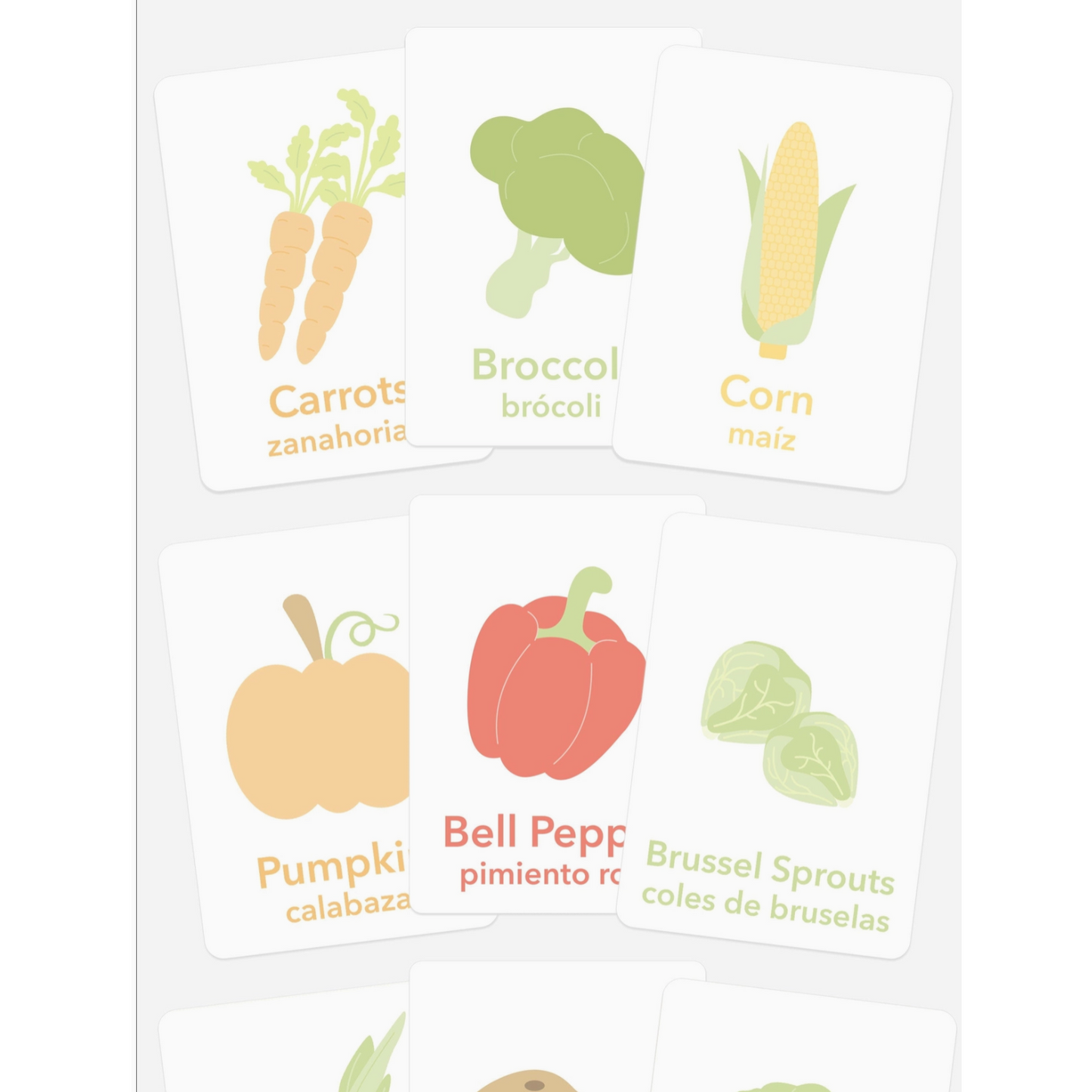 Vegetable (Flashcards)