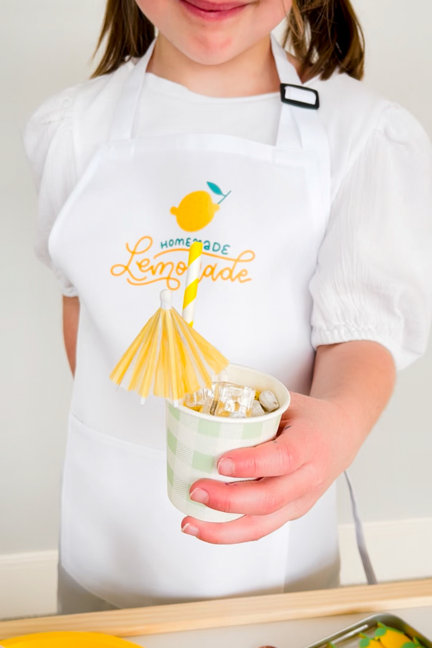 Lemonade Stand Kit
