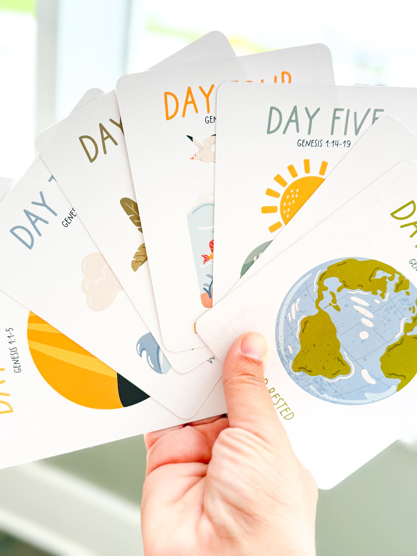 Creation Flashcards