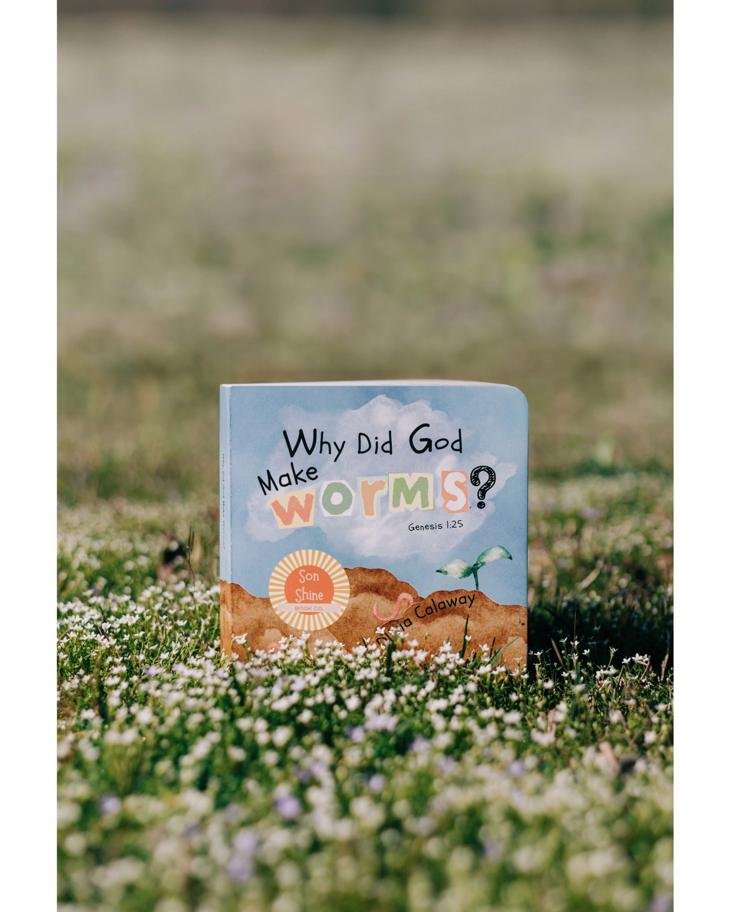 Why Did God Make Worms (Board Book)