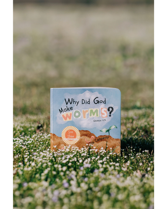 Why Did God Make Worms (Board Book)