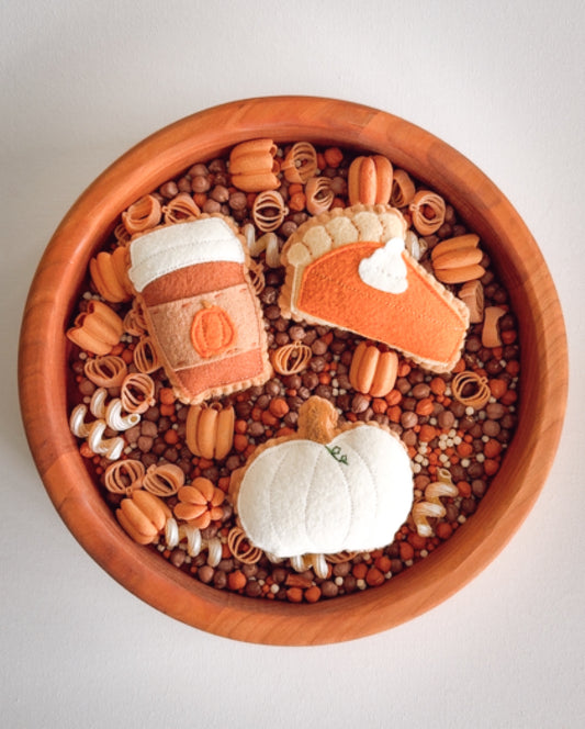 Pumpkin Spice Play Kit