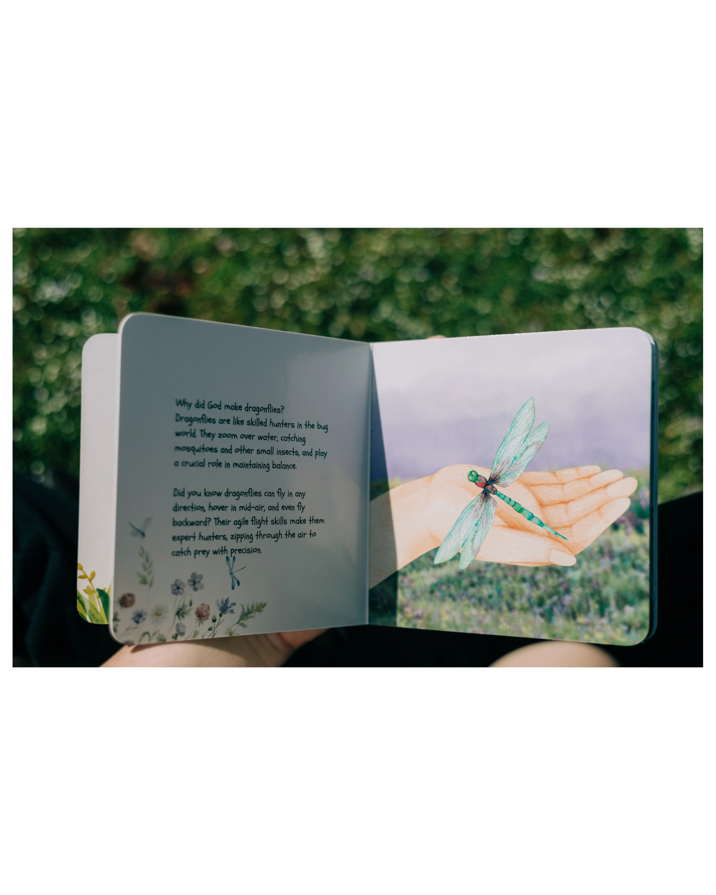 Why Did God Make Worms (Board Book)