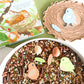 Bird Nest Play Kit