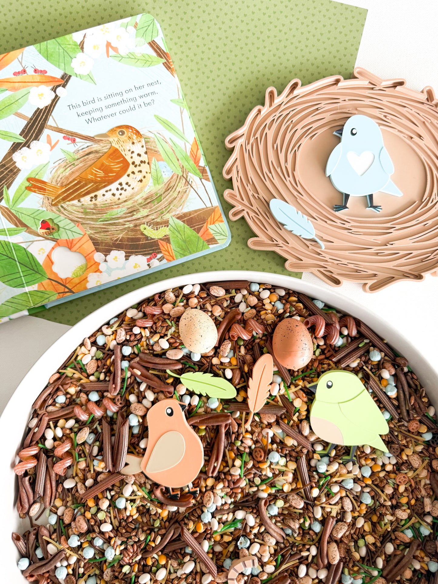 Bird Nest Play Kit