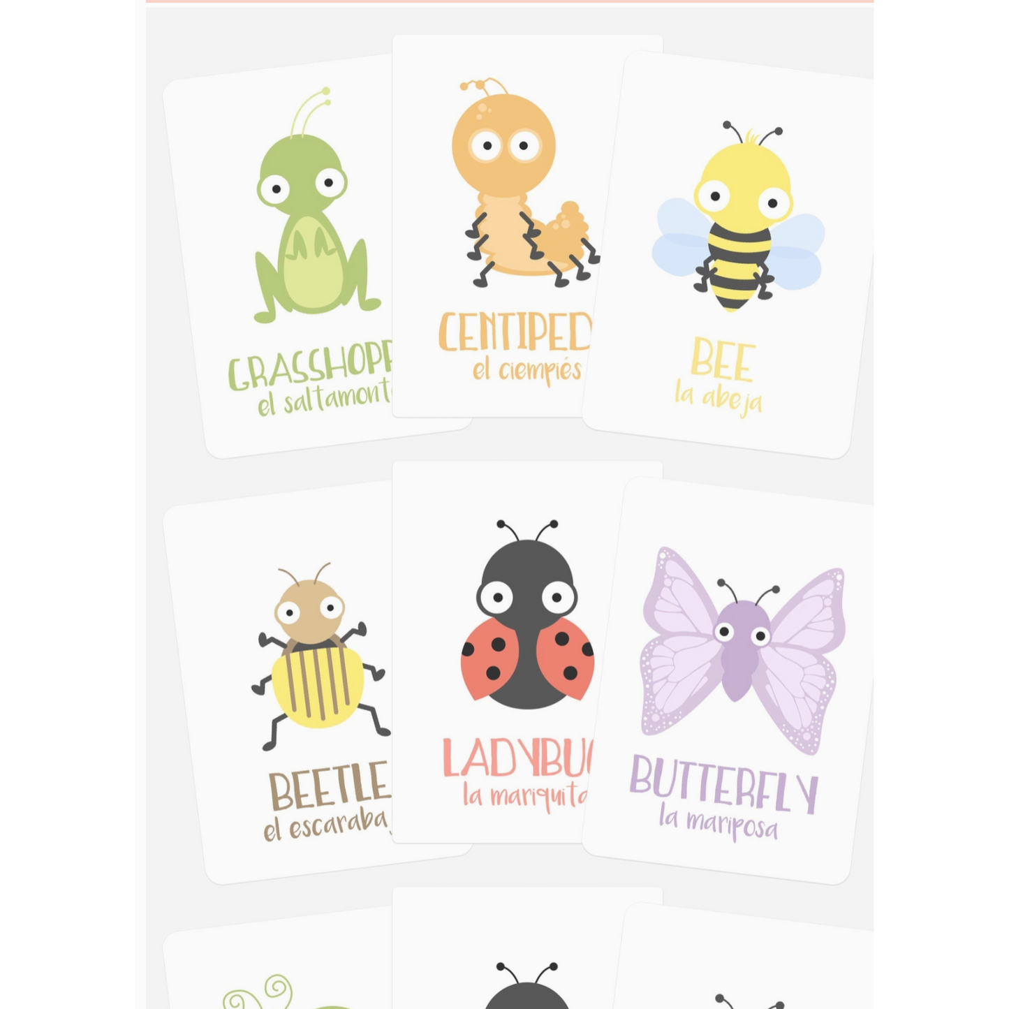 Bug (Flashcards)