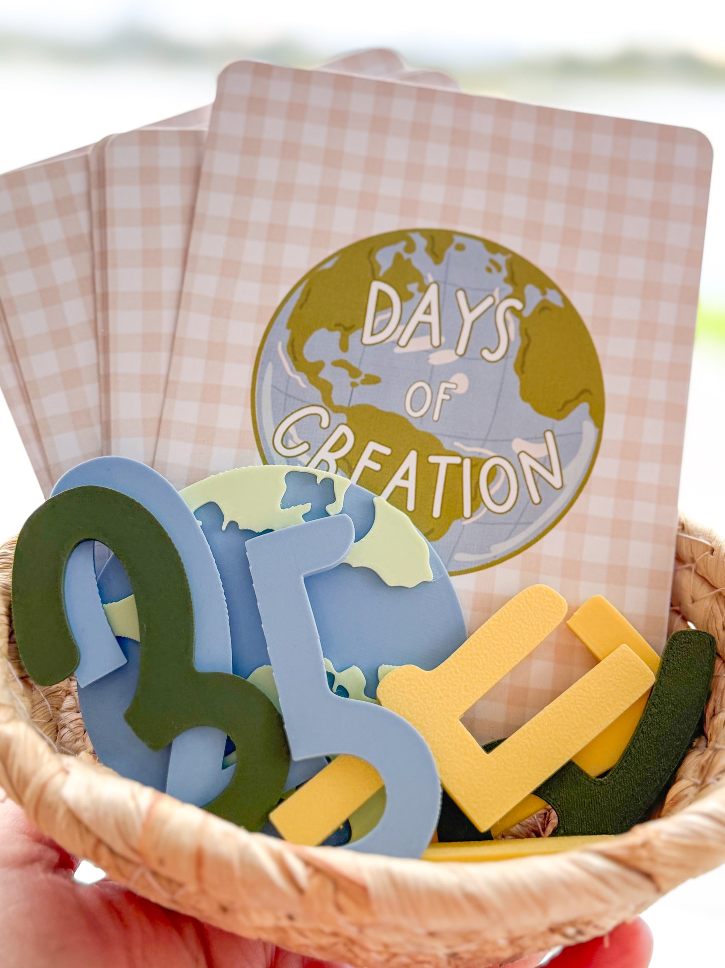 Creation Flashcards