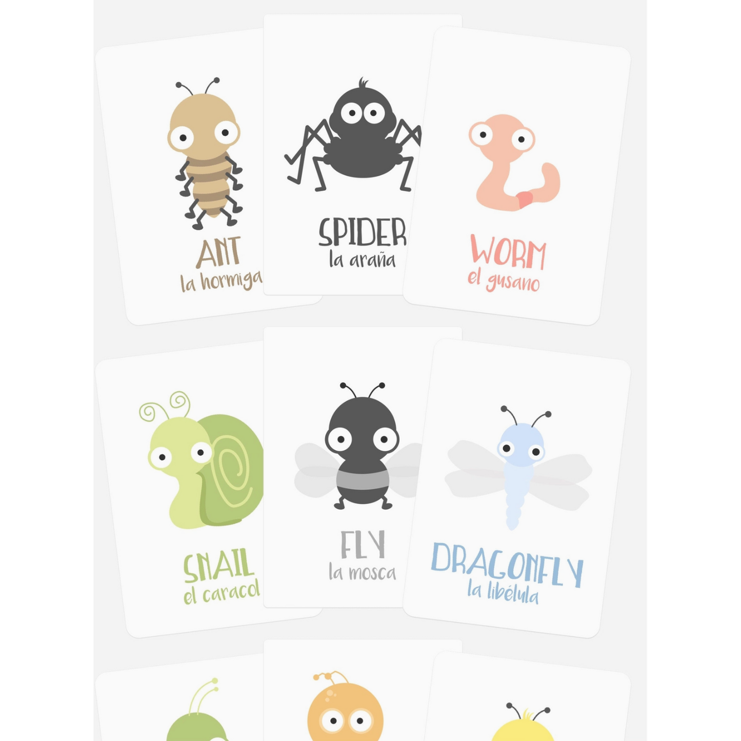 Bug (Flashcards)