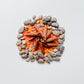 Fireside Fun Mix