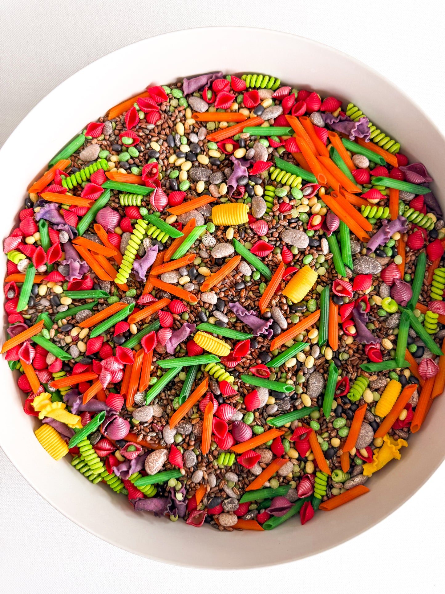 Veggie Garden Play Kit (Pre-order)