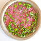 Watermelon Summer Sensory Mix