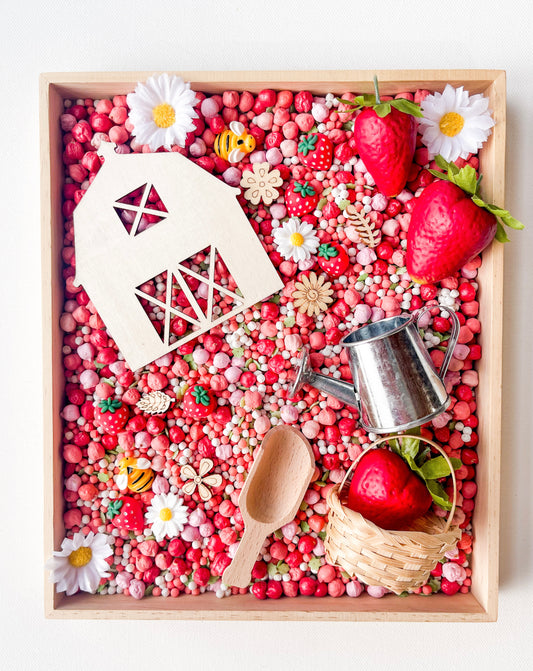 Berry Farm Mini Sensory Kit