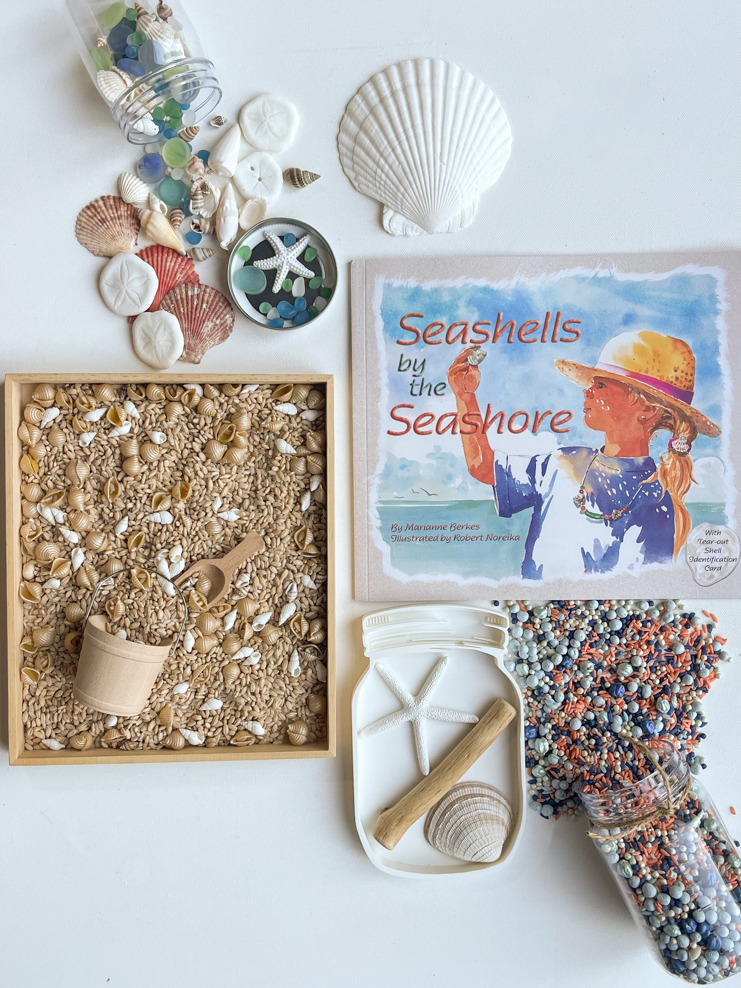 Seashells by the Seashore Kit