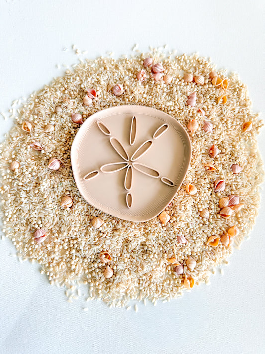 Mini Sand Dollar Tray